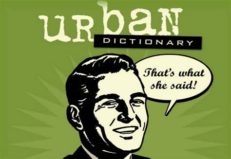 The Anatomy of the Urban Dictionary .